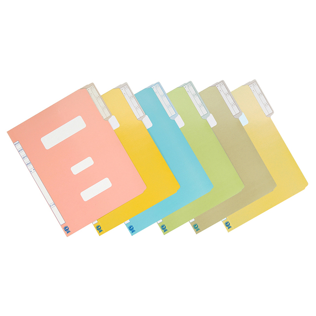 Government Document File Eco-Friendly ,Sets of 10pcs 
