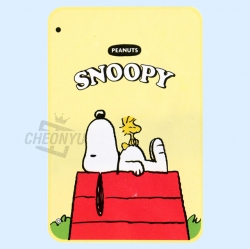 Snoopy Blanket _ Red roof