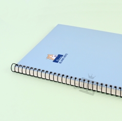 E-rinubgae A4 Notebook, Random