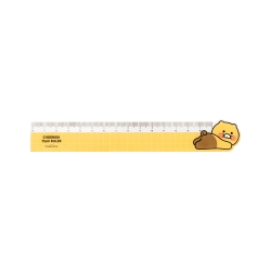 Choonsik 15cm Ruler