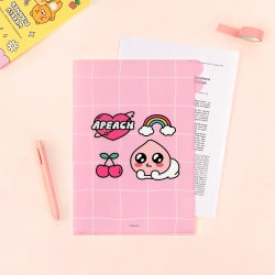 Kakao friends say cheese Document File, 5Pockets 