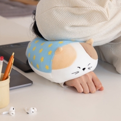 Daily  Cushion - Saljjini