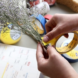 Masking Tape 15mmX10m