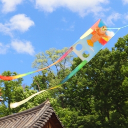 Traditional kite making eagle, Sets of 10pcs