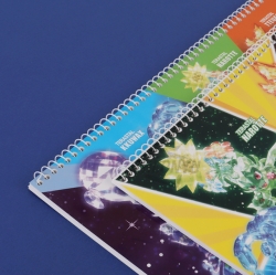 3000 New Pokémon Sketch book, Random