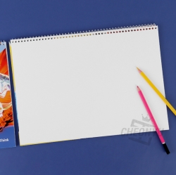 3000 New Pokémon Sketch book, Random