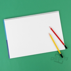 2000 POKEMON Sketch Book, Random