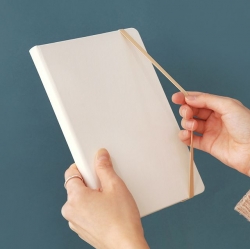 Prism 200 Band Note (GRID)