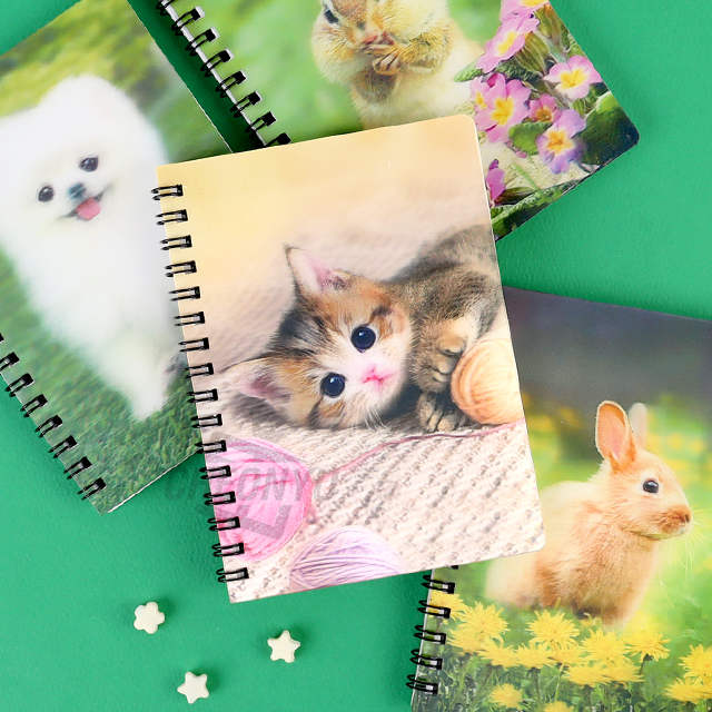 fantastical 3D lenticular notebook