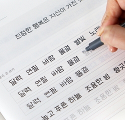 Handwriting Workbook - Pretty Letters Series