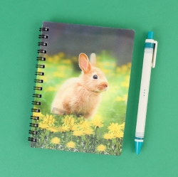 fantastical 3D lenticular notebook