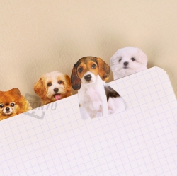 Mini pet sticky memo, 16pcs