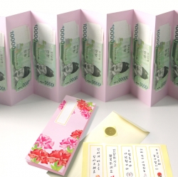 Carnations folding screen Allowance Envelope