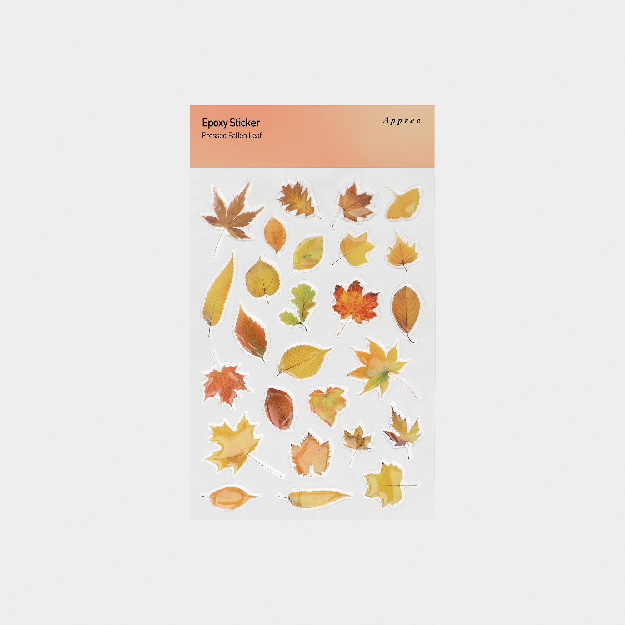 에폭시 스티커_낙엽 압화