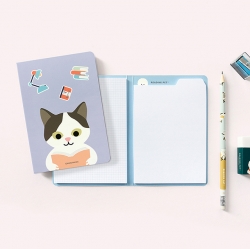 Dual Index Sticky Notes