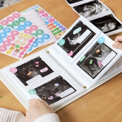 SONOGRAM POCKET ALBUM