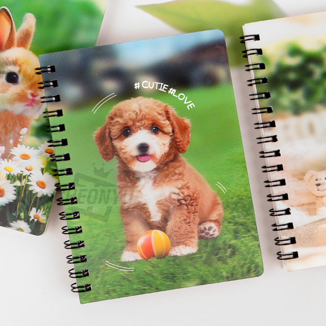 (new)fantastical 3D lenticular notebook, Random