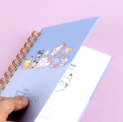 Pokemon Basic Note,Random 