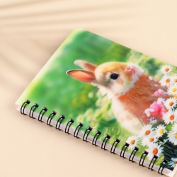 (new)fantastical 3D lenticular notebook, Random