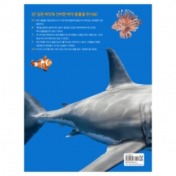 A Big Picture Book Sea Animals