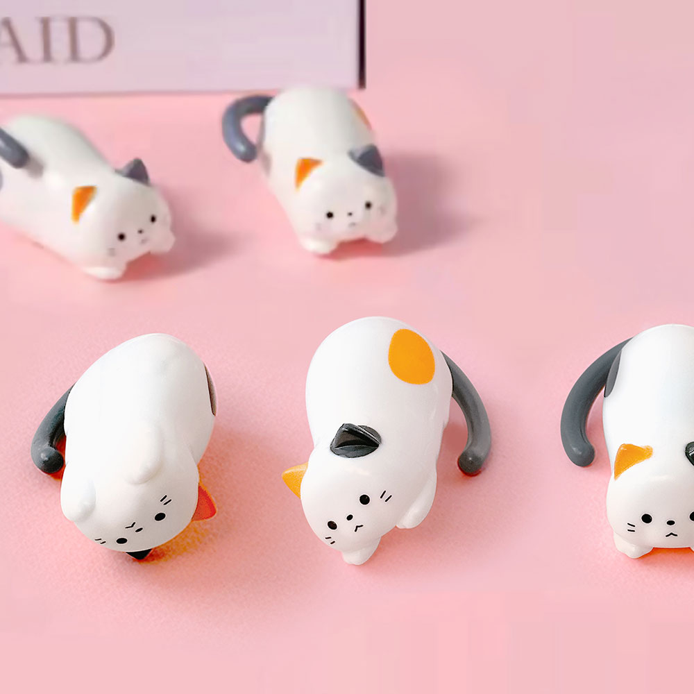 데굴데굴 고양이