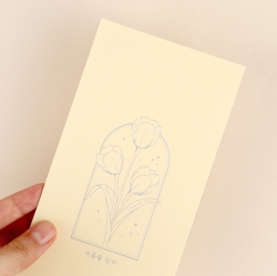 Envelope of money(random)