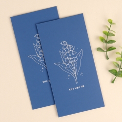 Envelope of money(random)