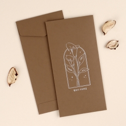 Envelope of money(random)