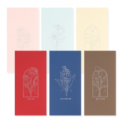 Envelope of money(random)