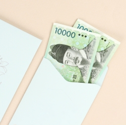 Envelope of money(random)