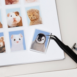 Be on :D Deco pocket 6hole binder A5 refill release paper