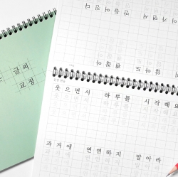 Pretty Handwriting Correction Note