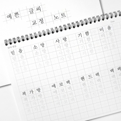 Pretty Handwriting Correction Note