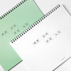 Pretty Handwriting Correction Note