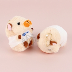 Raging Guinea Keyring, Random