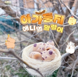 Baby Nest Animal Squishy (1pcs) Random 