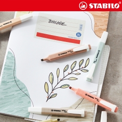 Swing Cool Highlighter Nature, 4Colors Set 