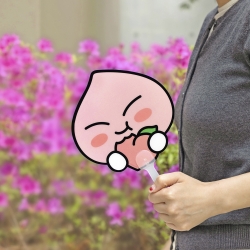 Summer Fruity PP Fan