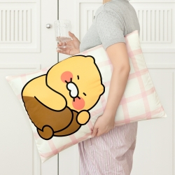 Chunsik Cooling Pillow Cover