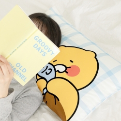 Chunsik Cooling Pillow Cover