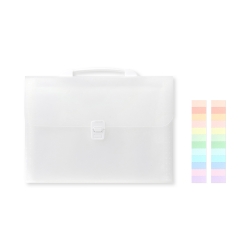 A4 Index Accordion File Bag