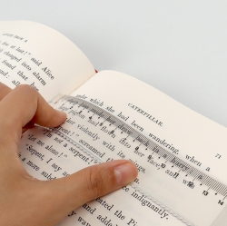 Flexible basic ruler set