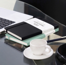 2026 PRISM B6 MONTHLY DIARY