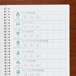 Thousand Character Classic workbook