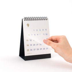 desk calendar mini 2026