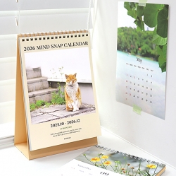 2026 MIND SNAP DESK CALENDAR