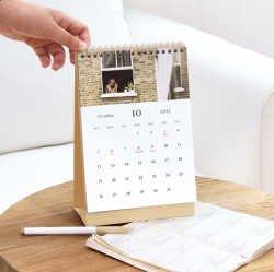 2026 MIND SNAP DESK CALENDAR