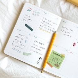 2026 The temperature of the day B6 Weekly Diary