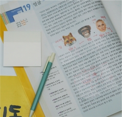 50 sheets of clear note sheet (Small)