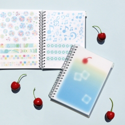 deco pocket sticker book